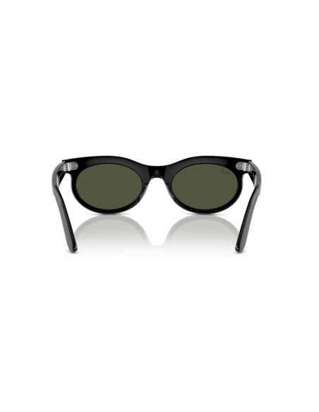 0RB2242__901_31__P21__shad__bk