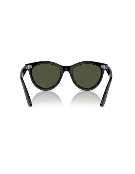 0RB2241__901_31__P21__shad__bk