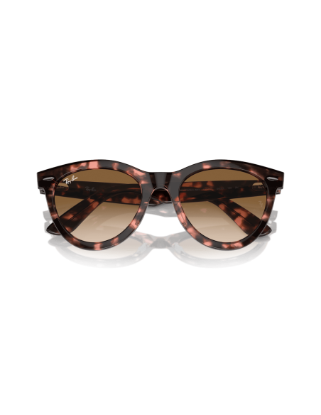 0RB2241__133451__P21__shad__cfr