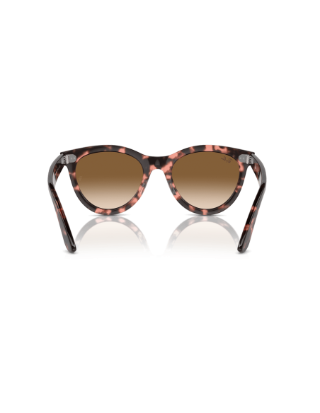 0RB2241__133451__P21__shad__bk