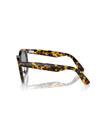 0RB2241__13323F__P21__shad__lt