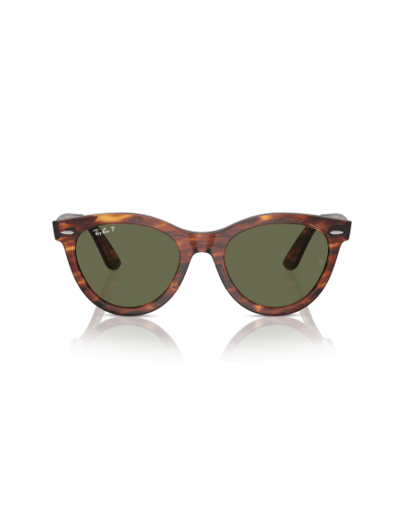 0RB2241__954_58__P21__shad__fr