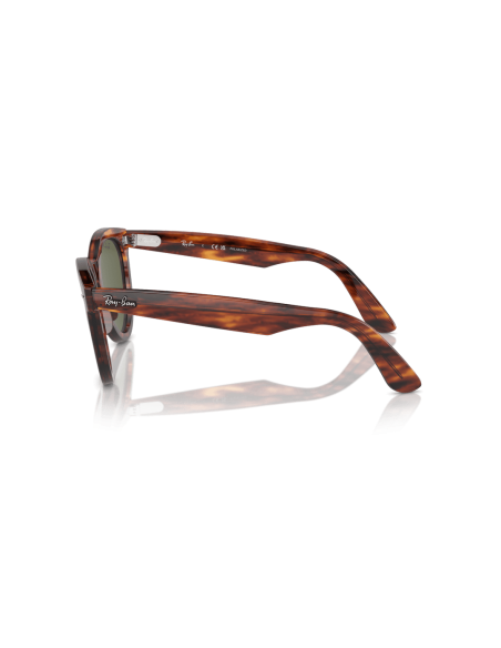 0RB2241__954_58__P21__shad__lt