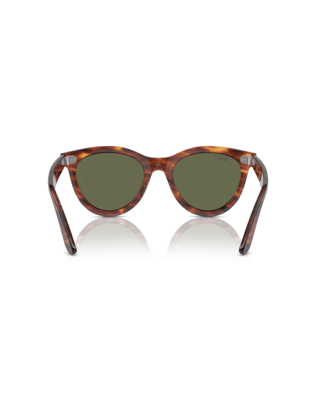 0RB2241__954_58__P21__shad__bk