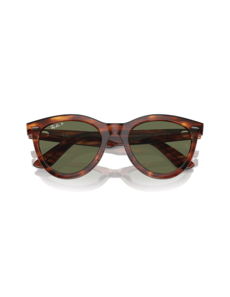 0RB2241__954_58__P21__shad__cfr