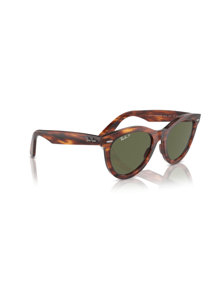 0RB2241__954_58__P21__shad__al2