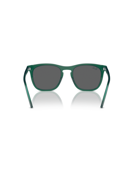 0RB2210__6615B1__P21__shad__bk