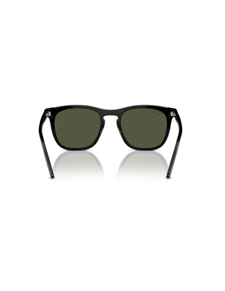 0RB2210__901_31__P21__shad__bk