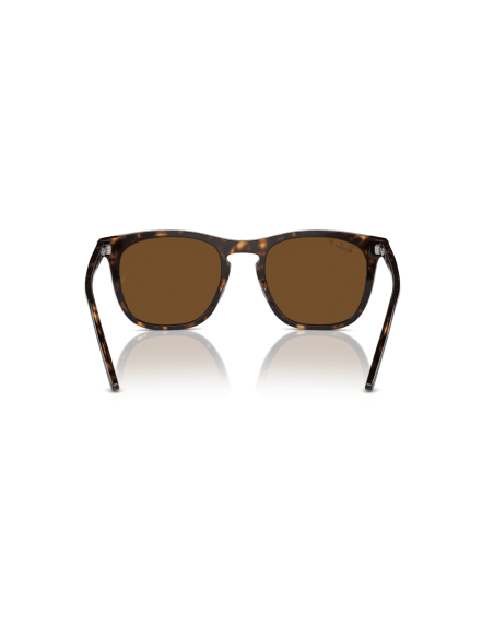 0RB2210__902_57__P21__shad__bk