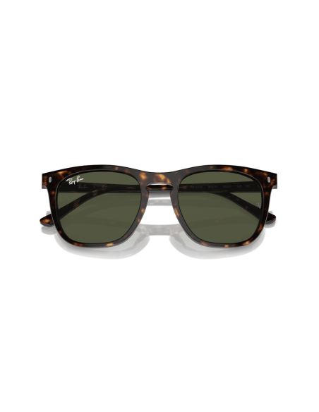 0RB2210__902_31__P21__shad__cfr