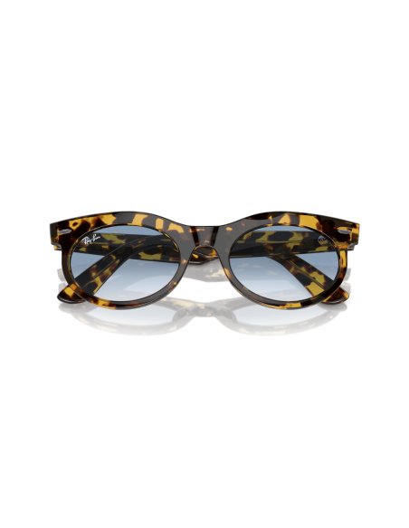 0RB2242__13323F__P21__shad__cfr