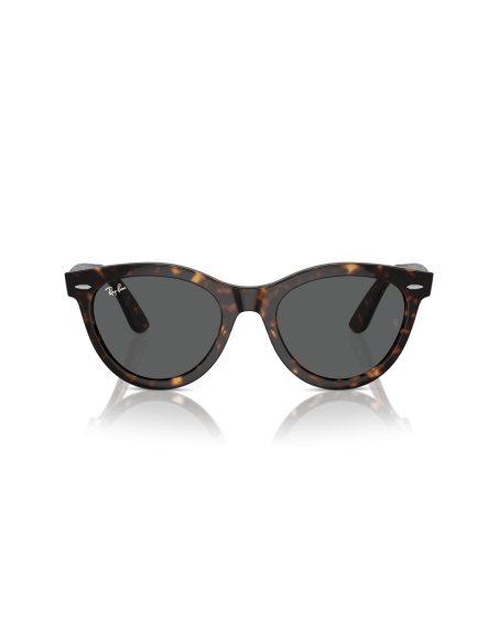 0RB2241__902_B1__P21__shad__fr