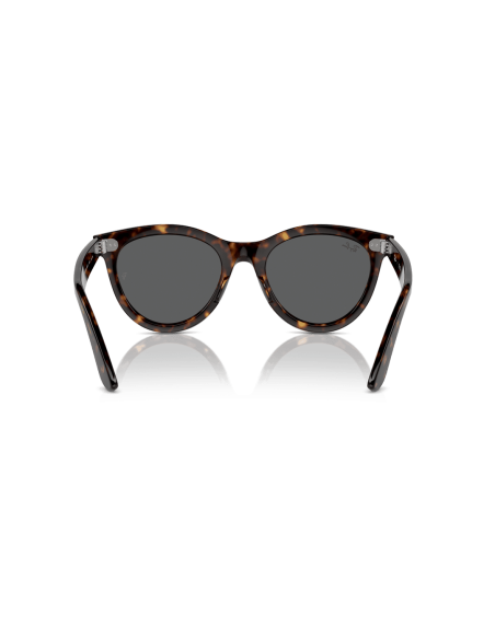 0RB2241__902_B1__P21__shad__bk