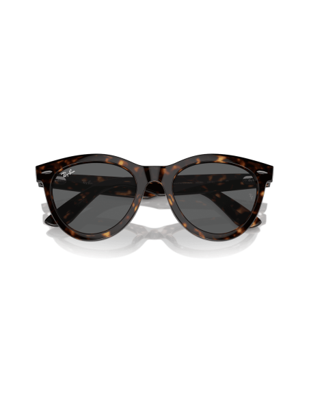 0RB2241__902_B1__P21__shad__cfr