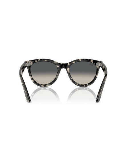 0RB2241__133371__P21__shad__bk