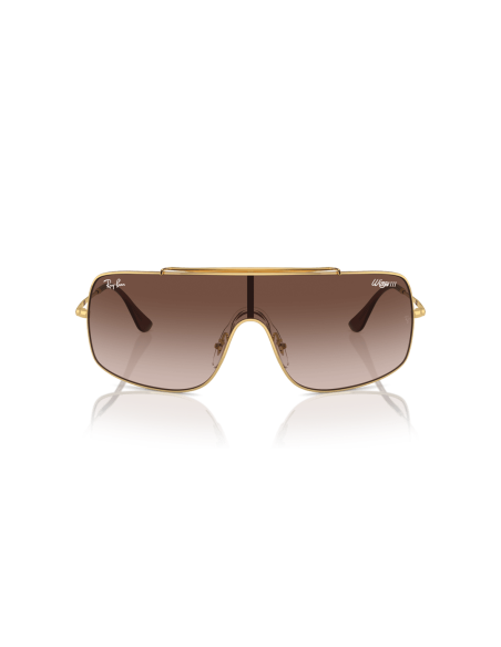 0RB3897__001_13__P21__shad__fr