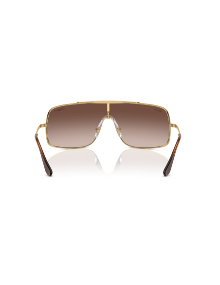 0RB3897__001_13__P21__shad__bk