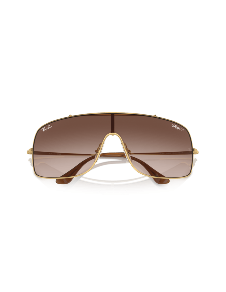 0RB3897__001_13__P21__shad__cfr