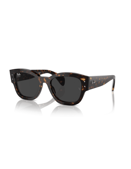 0RB7681S__902_48__P21__shad__qt