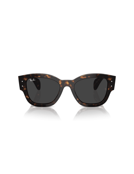 0RB7681S__902_48__P21__shad__fr