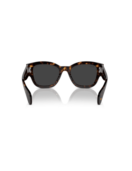 0RB7681S__902_48__P21__shad__bk