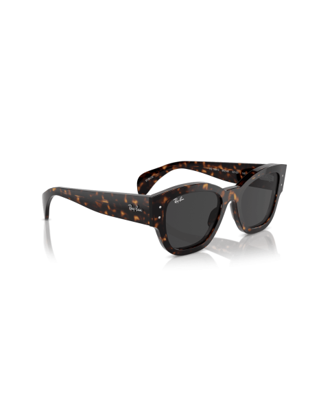 0RB7681S__902_48__P21__shad__al2