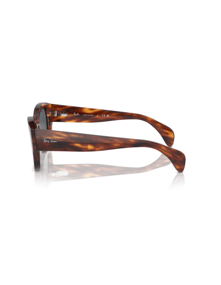 0RB7681S__954_R5__P21__shad__lt