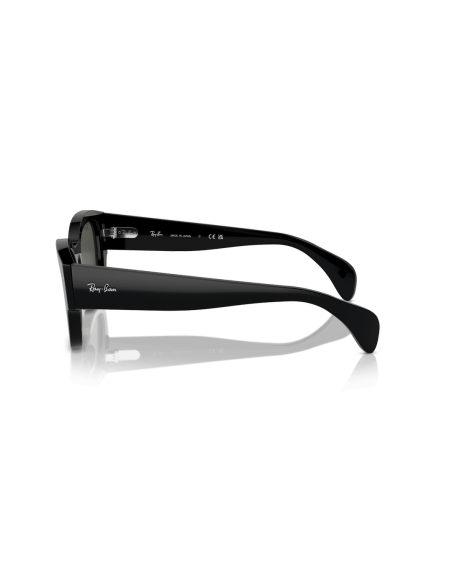 0RB7681S__901_31__P21__shad__lt