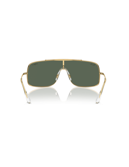 0RB3897__001_71__P21__shad__bk