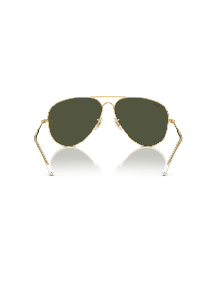 0RB3825__001_31__P21__shad__bk