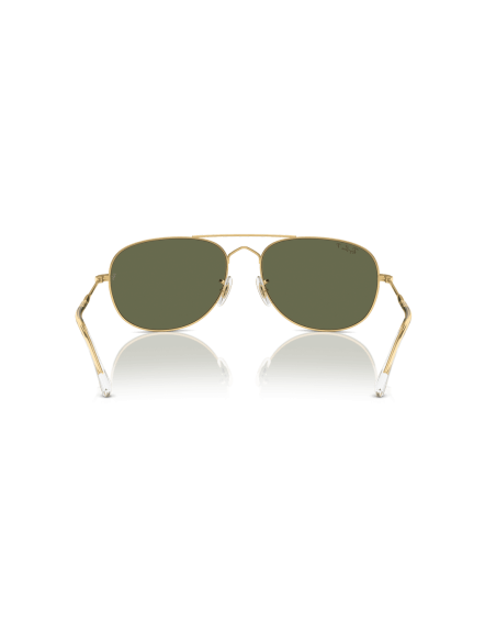 0RB3735__001_58__P21__shad__bk