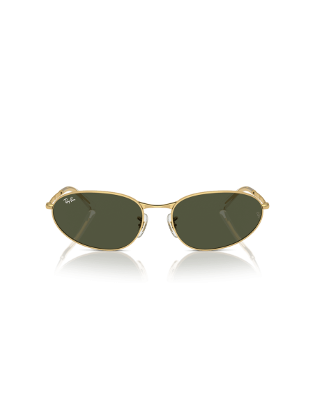 0RB3734__001_31__P21__shad__fr