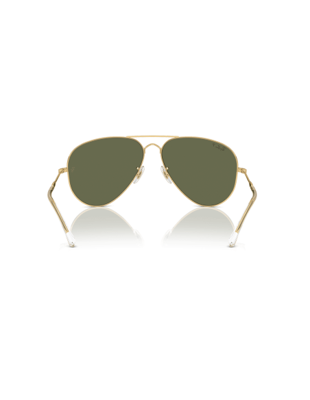 0RB3825__001_58__P21__shad__bk