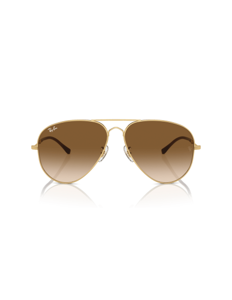 0RB3825__001_51__P21__shad__fr