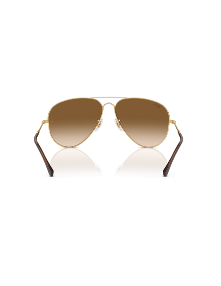 0RB3825__001_51__P21__shad__bk