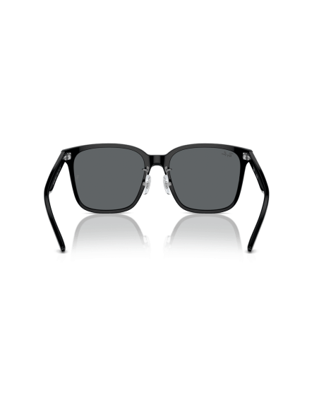 0RB2206D__901_87__P21__shad__bk