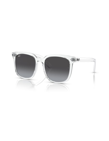 RAY-BAN - RB4401D - 64478G - 55