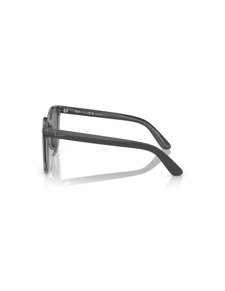 RAY-BAN - RB4401D - 659981 - 55
