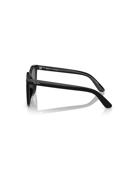 RAY-BAN - RB4401D - 601/87 - 55