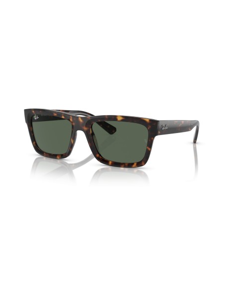 RAY-BAN - WARREN - RB4396 - 135971 - 57