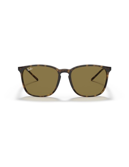 RAY-BAN - RB4387 - 710/73 - 56