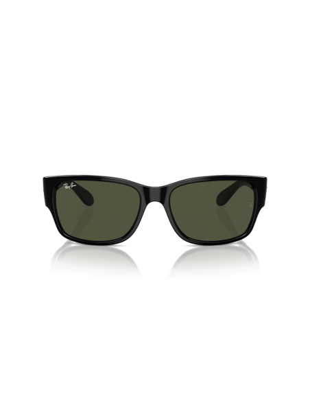 0RB4388__601_31__P21__shad__fr