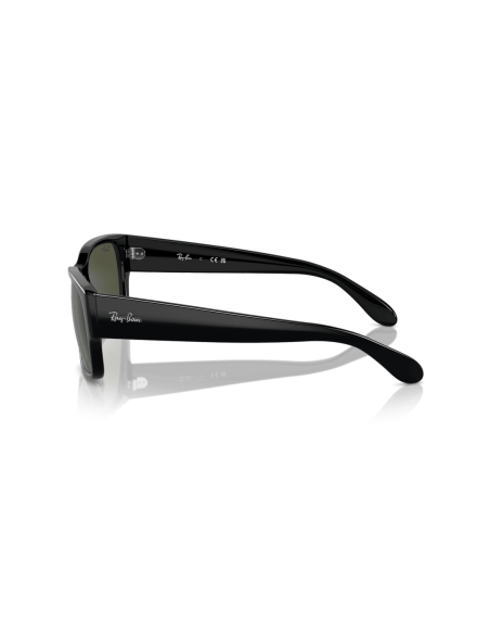 0RB4388__601_31__P21__shad__lt