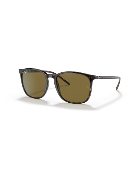 RAY-BAN - RB4387F - 902/73 - 55