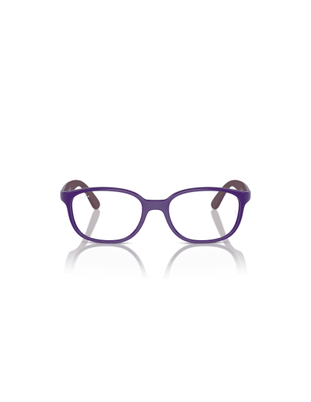 0RY1632__3962__P21__shad__fr