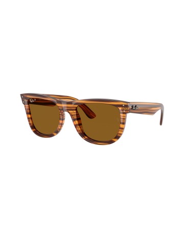 RAY-BAN - WAYFARER REVERSE - RBR0502S - 679183 - 50