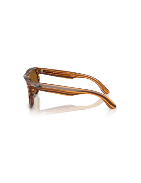 RAY-BAN - WAYFARER REVERSE - RBR0502S - 679183 - 53
