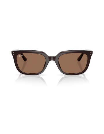 RAY-BAN - RB4439D - 623173 - 54 2
