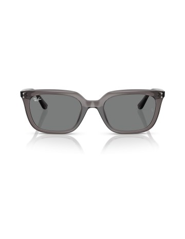 RAY-BAN - RB4439D - 667587 - 54 2