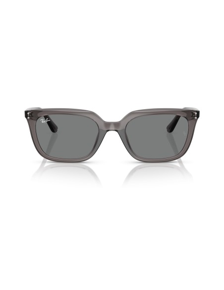 RAY-BAN - RB4439D - 667587 - 54
